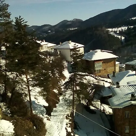Snezhanka Guest house *