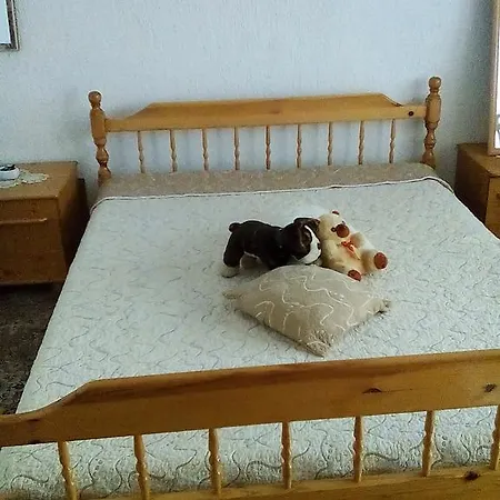 Snezhanka Guest house Smolyan