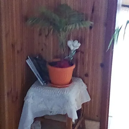 Snezhanka Guest house *