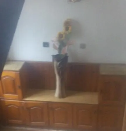 Guest house Snezhanka Smolyan