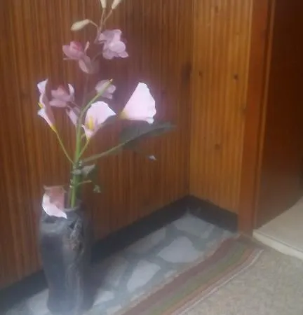 Guest house Snezhanka